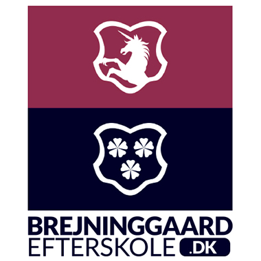 Brejninggaard Efterskole