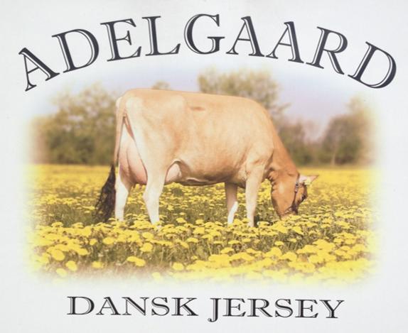 Adelgaard Jersey